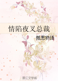 情陷夜叉总裁