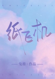 纸飞机o